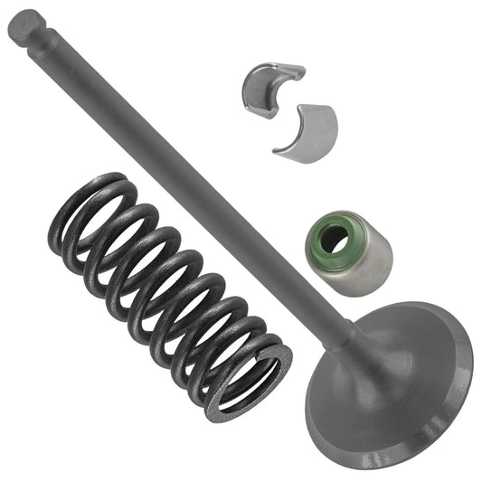 Caltric Intake Valve Kit for Yamaha YZ250F 2002 2003 2004 2005 2006 2007-2009