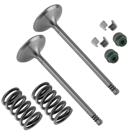 2xIntake Valve Kit for Can-Am CanAm Bombardier Outlander 650 2006-2016 2018-2022