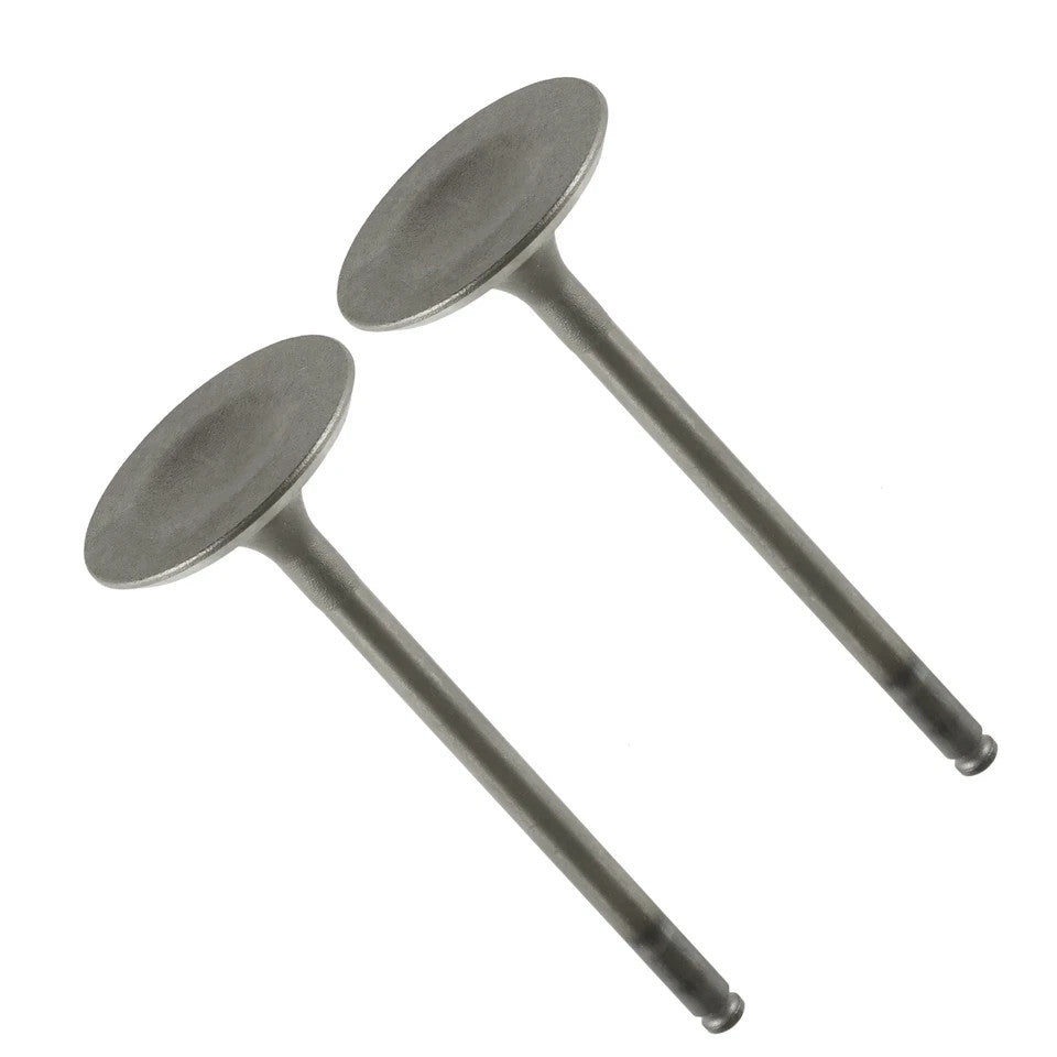 2 Intake Valves for Suzuki King Quad 700 700cc 4x4 LT-A700X LTA700X 2005-2007