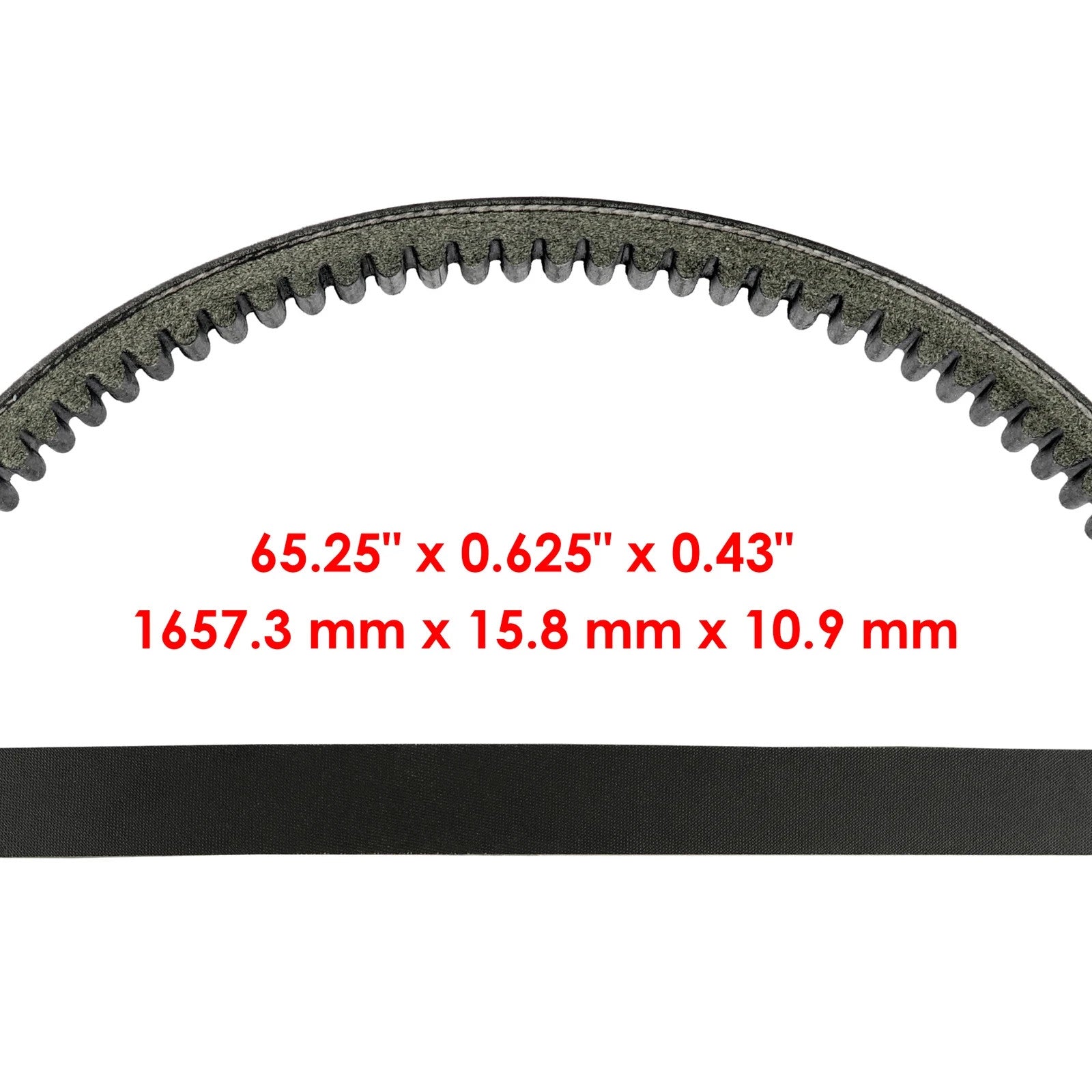 Caltric 483157 Pump Drive Belt For Scag Cheetah Tiger Cub Wildcat Cutter Deck