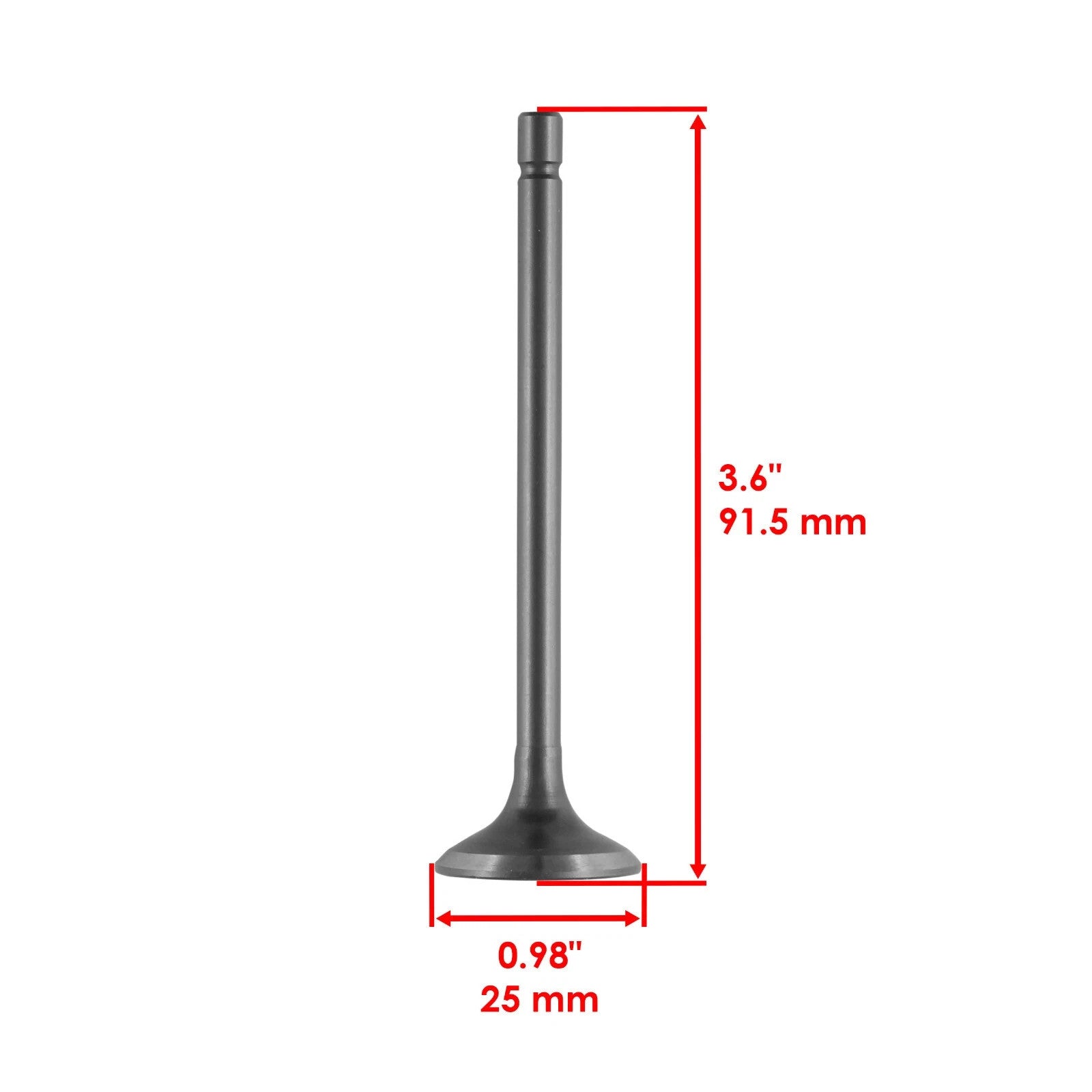 Cylinder Head Intake Exhaust Valve Kit for Honda XR200 XR200R 1980-2002