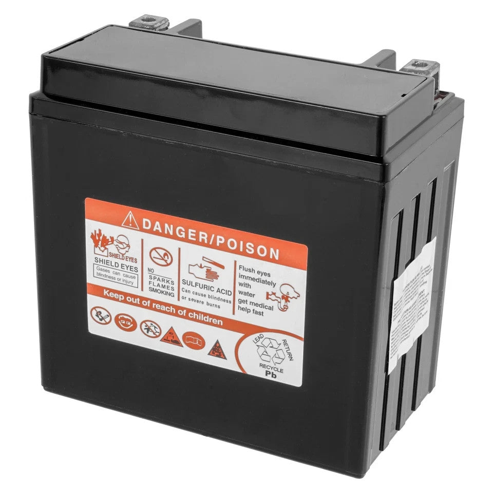 AGM Battery for Honda TRX300FW Fourtrax 300 4X4 1988-2000