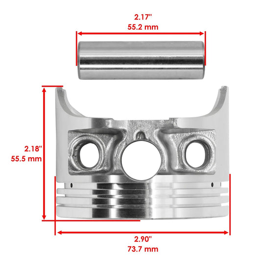 Caltric Cylinder Piston Kit For Honda Fourtrax 300 TRX300 FW 88-00 12100-HC4-000