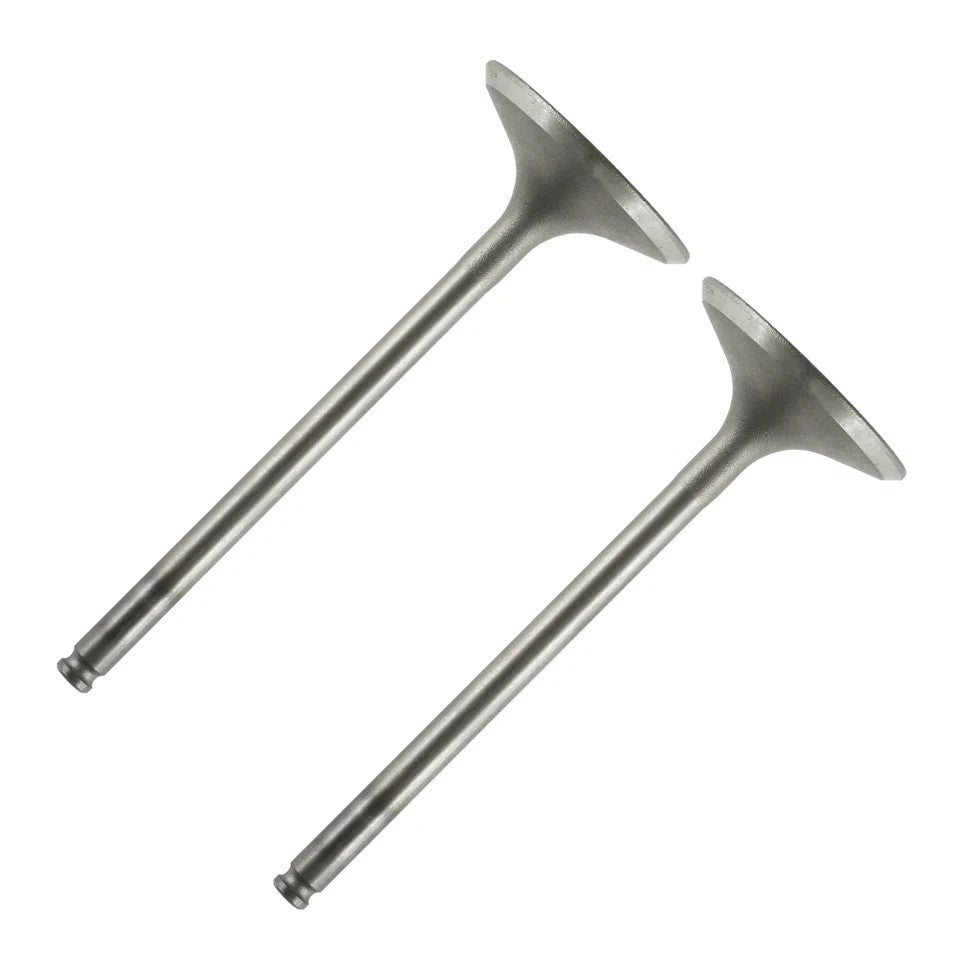 2 Intake Valves for Suzuki King Quad 700 700cc 4x4 LT-A700X LTA700X 2005-2007