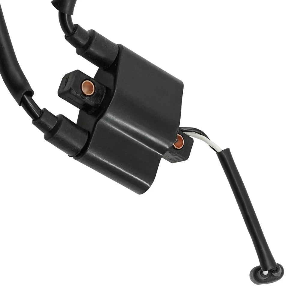 for Polaris 600 700 800 Rmk F/O 2002 2003 Ignition Coil Double Line