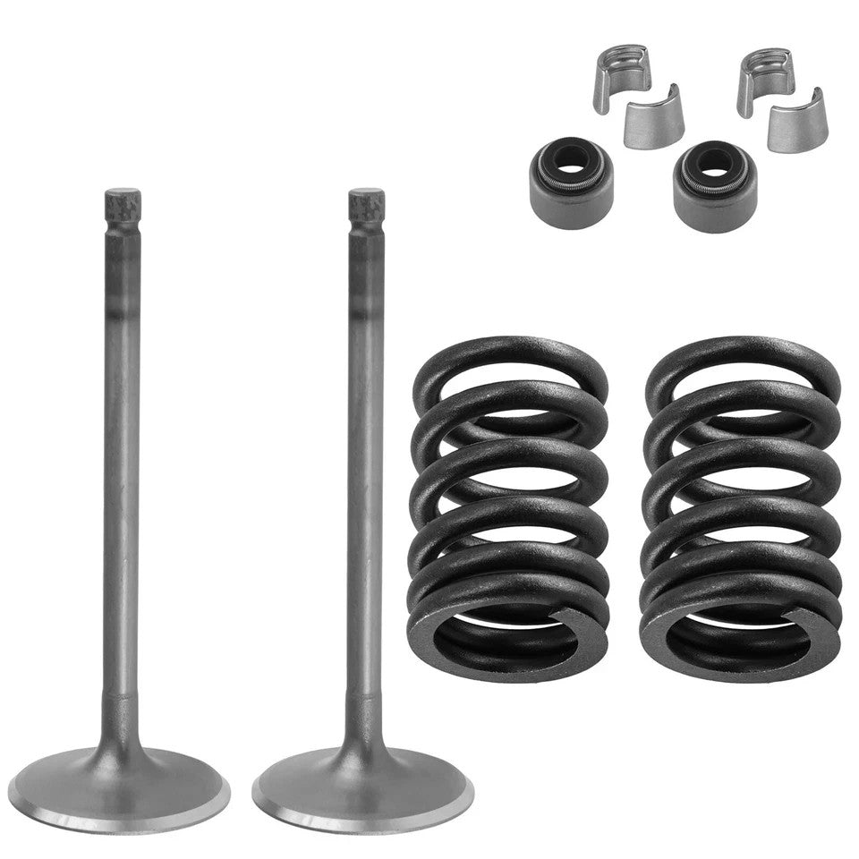 2x Intake Valve Kit for Yamaha Viking 700 YXM700 4x4 2014 2015 2016 2017-2022