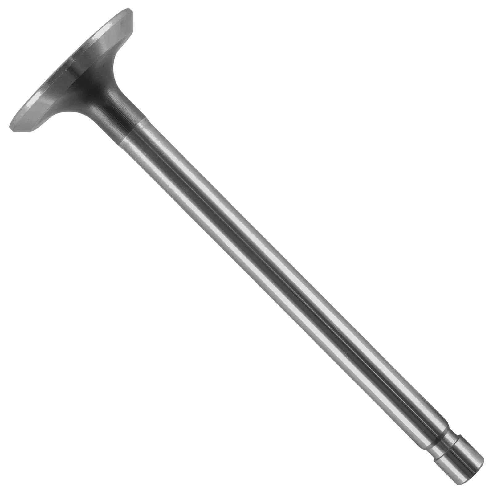 Caltric Exhaust Valve for Kohler K301 K241 K482 235826-S 505511 K-Series Engines