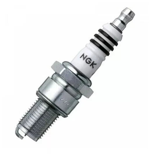 4 Pack NGK Iridium IX Spark Plugs 3981 BR9EIX 3981 BR9EIX Tune Up Kit