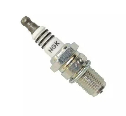 4 Pack NGK Iridium IX Spark Plugs 3981 BR9EIX 3981 BR9EIX Tune Up Kit