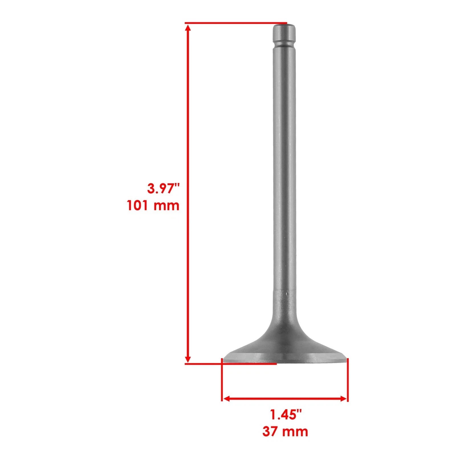 Caltric Intake & Exhaust Valve Kit For Kawasaki Bayou 300 KLF300 4x4 1986-2005