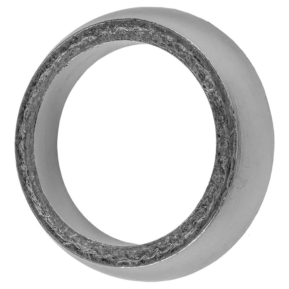 Exhaust Tailpipe Gasket for Arctic Cat Mountain Cat 800 2001 2002 2003 2004