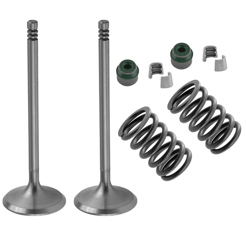 2xIntake Valve Kit for Can-Am CanAm Bombardier Outlander 650 2006-2016 2018-2022