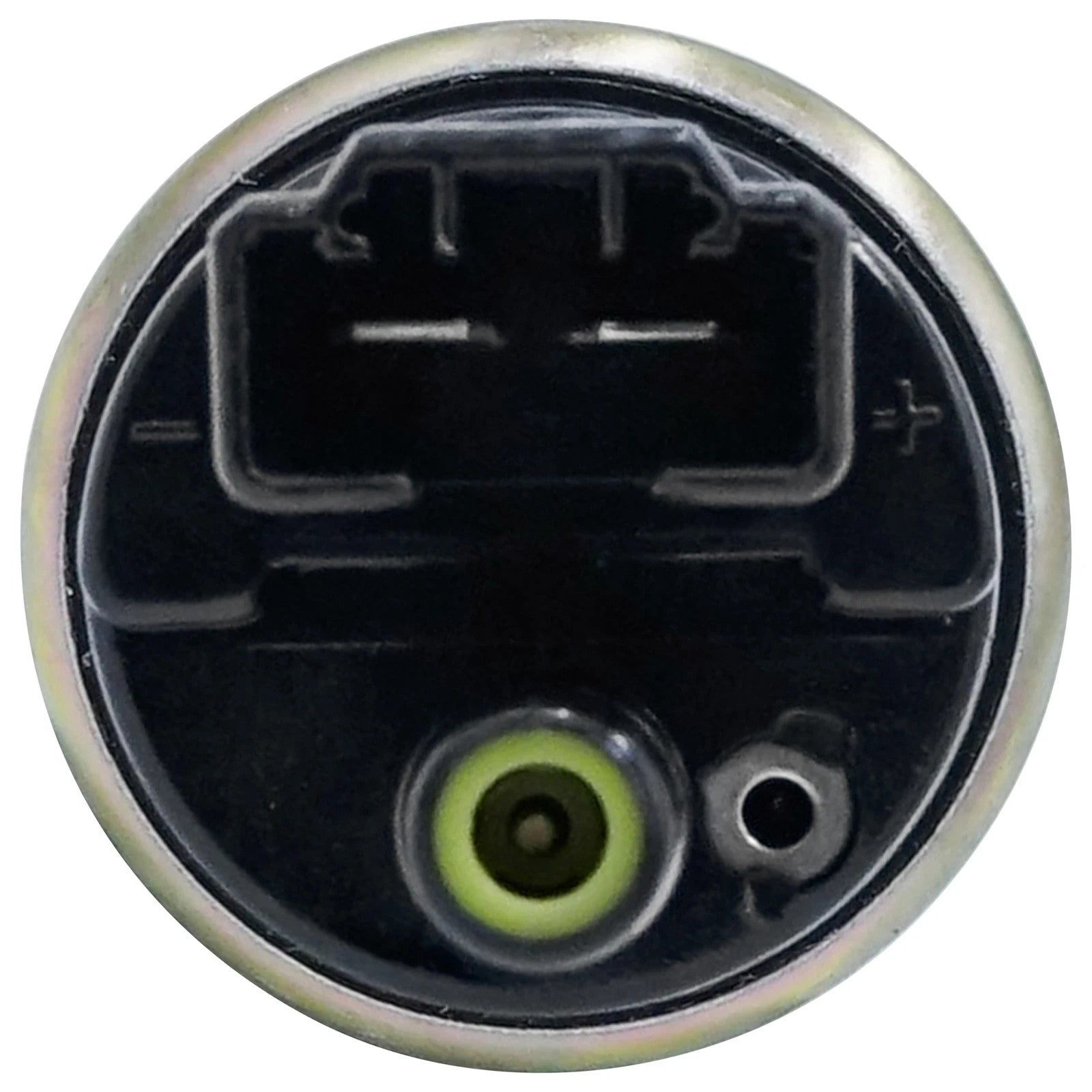 Intank Fuel Pump for Triumph Daytona 955I 1998 99 00 01 02 03 04 2005