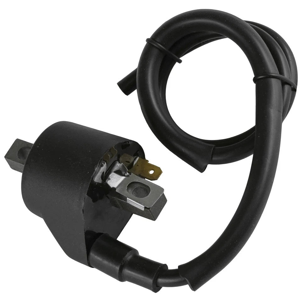 Ignition Coil for Polaris Ranger 500 2X4 4X4 6X6 2004 2005 2006 2007 2008