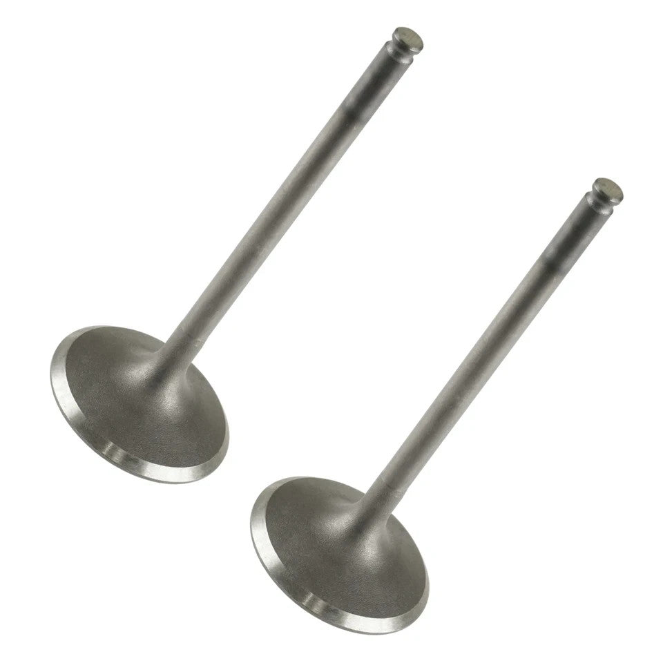 2 Intake Valves for Suzuki King Quad 700 700cc 4x4 LT-A700X LTA700X 2005-2007